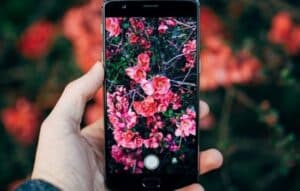 Capturar y Cuidar de tus Plantitas