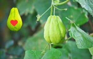 10 pasos para convertirse en un ex hipertenso