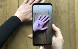 Identificar Arañas con Estas Aplicaciones