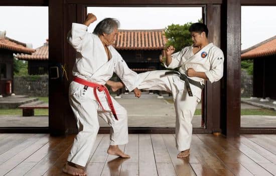 Aplicaciones Para el Entrenamiento de Kárate