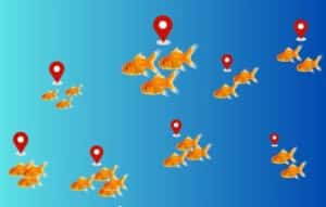 Consiga que su salida de pesca sea un éxito con una sonda