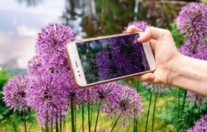 Cuida tus Plantas con Estas Herramientas
