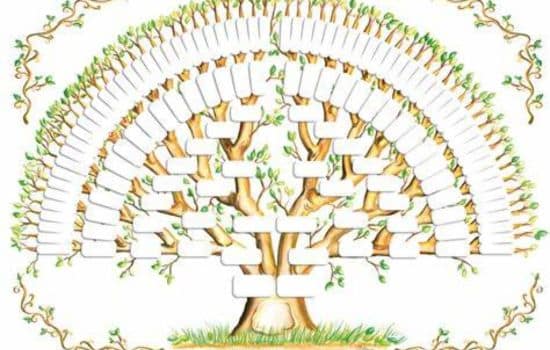 Crea tu árbol genealógico con estas aplicaciones