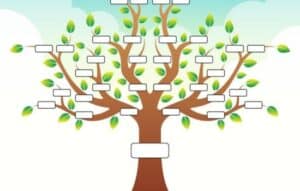 Descubra a sus antepasados con un árbol genealógico
