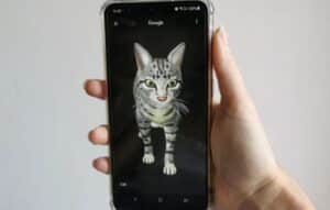 Descubre tu espíritu animal con Animal Face