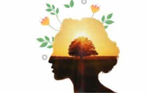 Revolutionize tu bienestar con Cingulo.