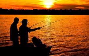 Pesca Perfecta: Descubre la app