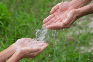 Aguas Puras Vida Saludable