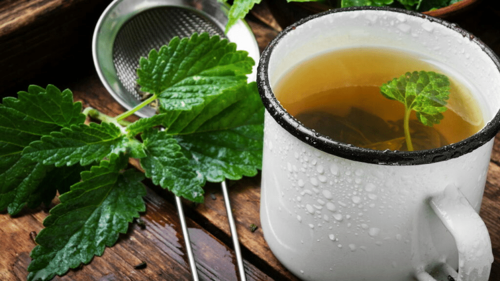 Tés Mágicos: Adiós Estreñimiento