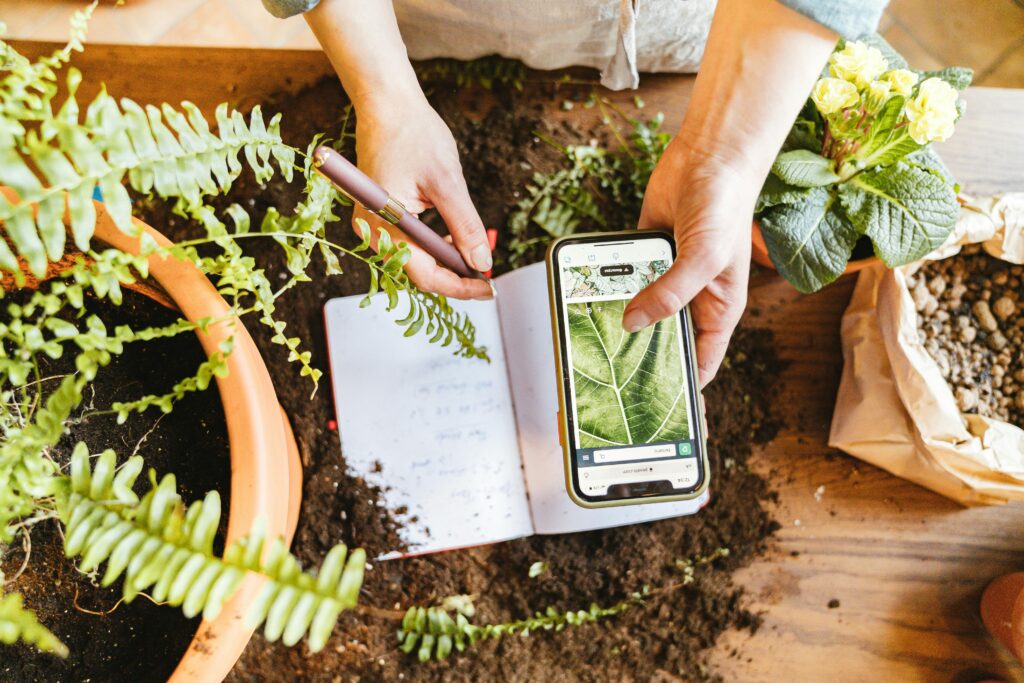 Guía de Aplicaciones para Cuidado de Plantas