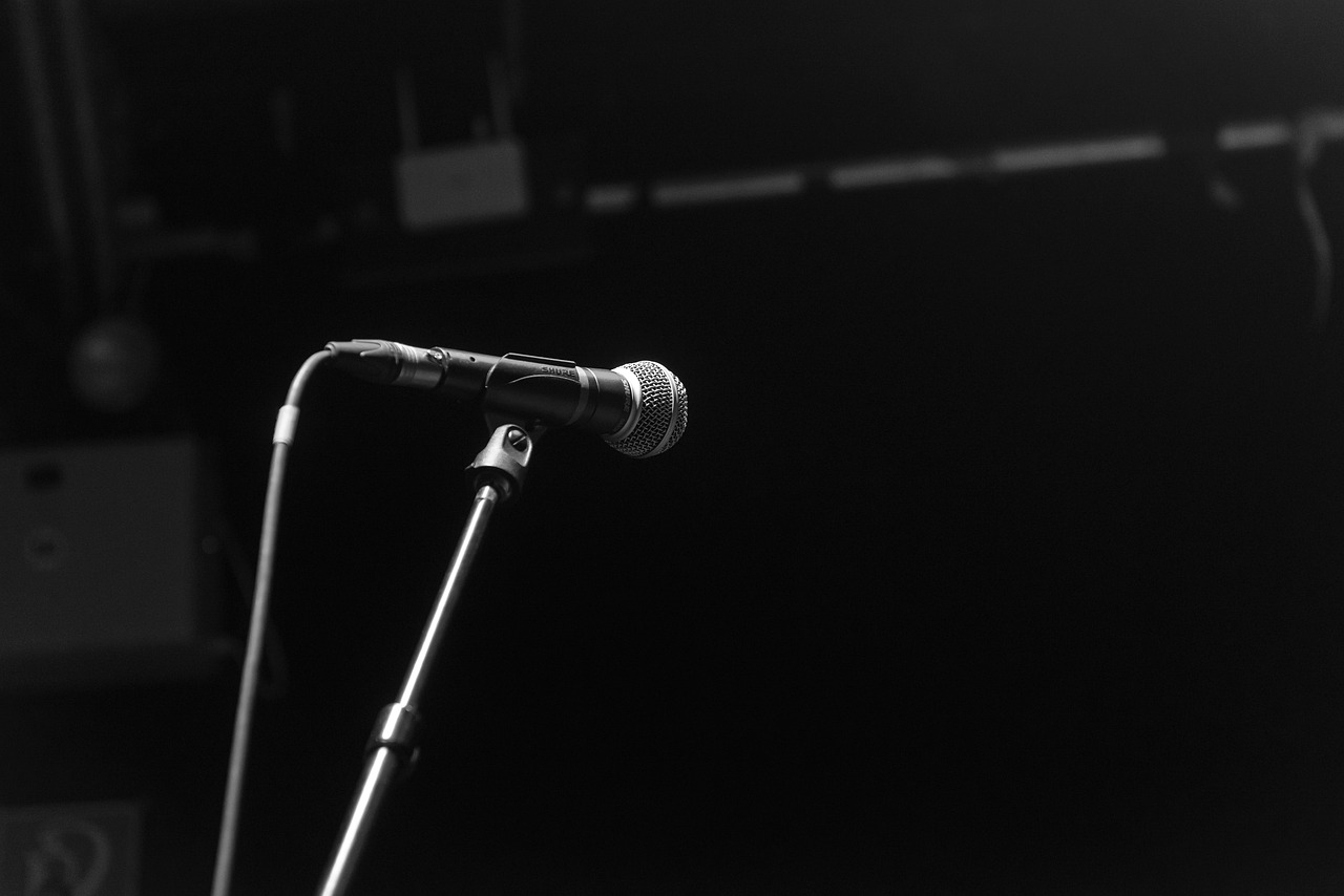Diversión con amigos: ¡Descubre la app de karaoke!