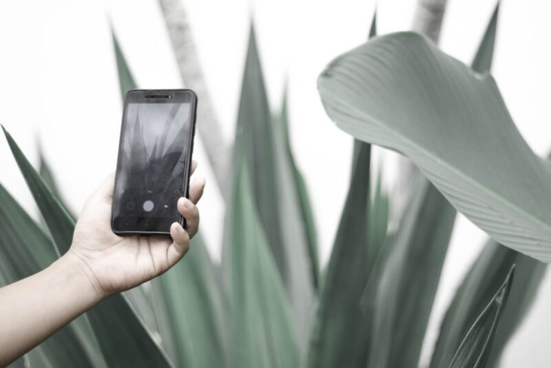 App móvil para identificar plantas al instante y fácil