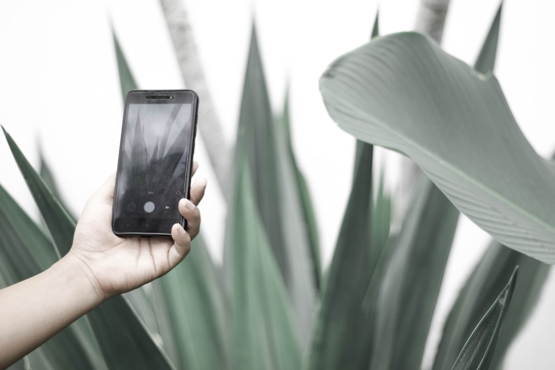 App móvil para identificar plantas al instante y fácil