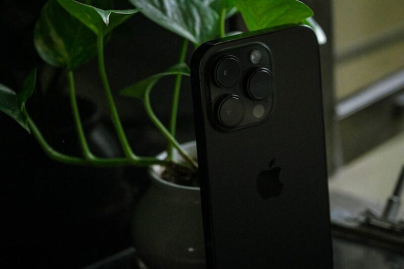 Mejor app para identificar plantas: guía y comparación 2026
